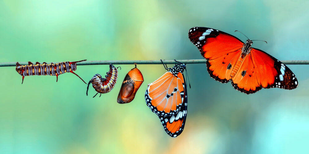 Le-conseguenze-psicologiche-dopo-un-intervento-al-cuore